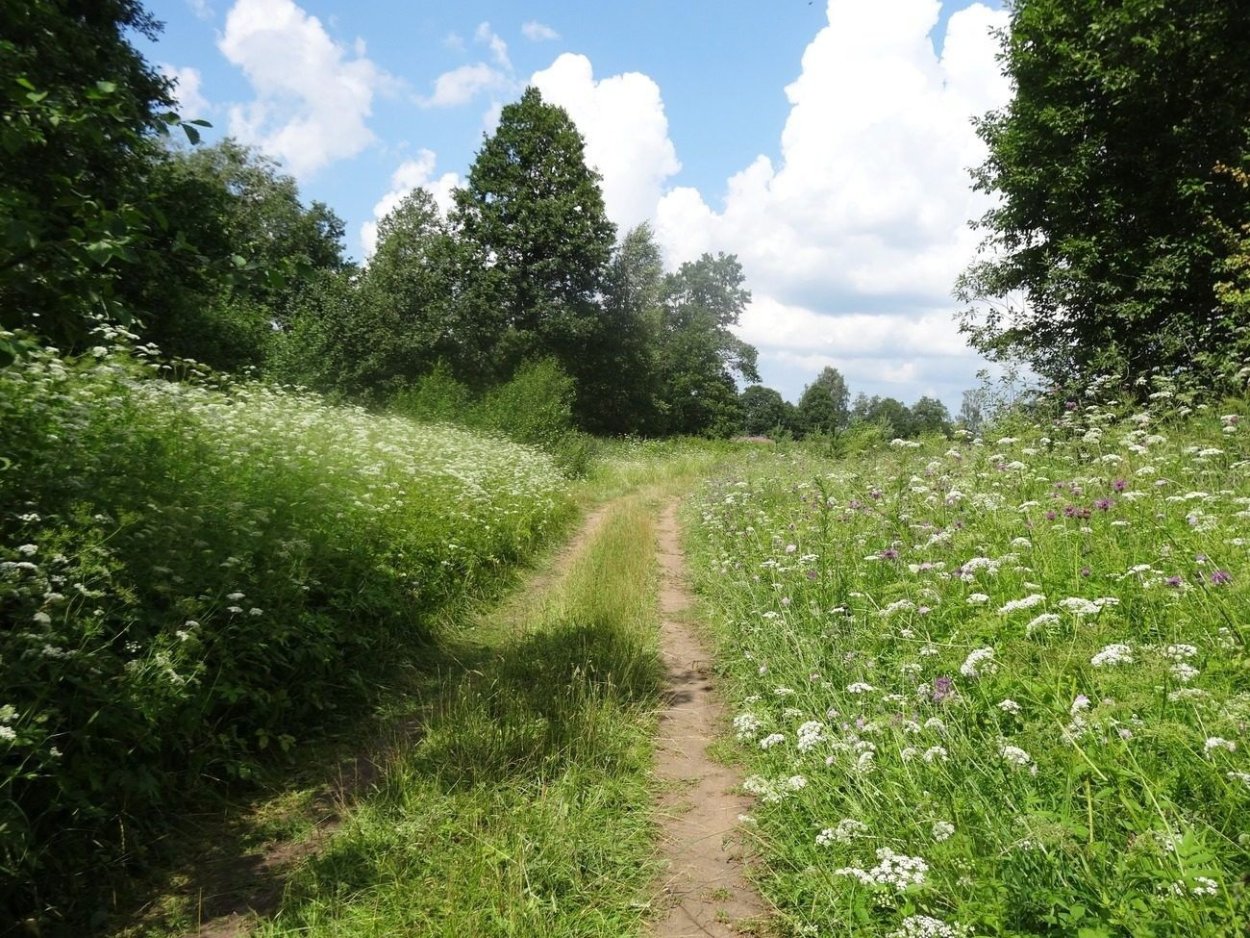 Тропинка в селе