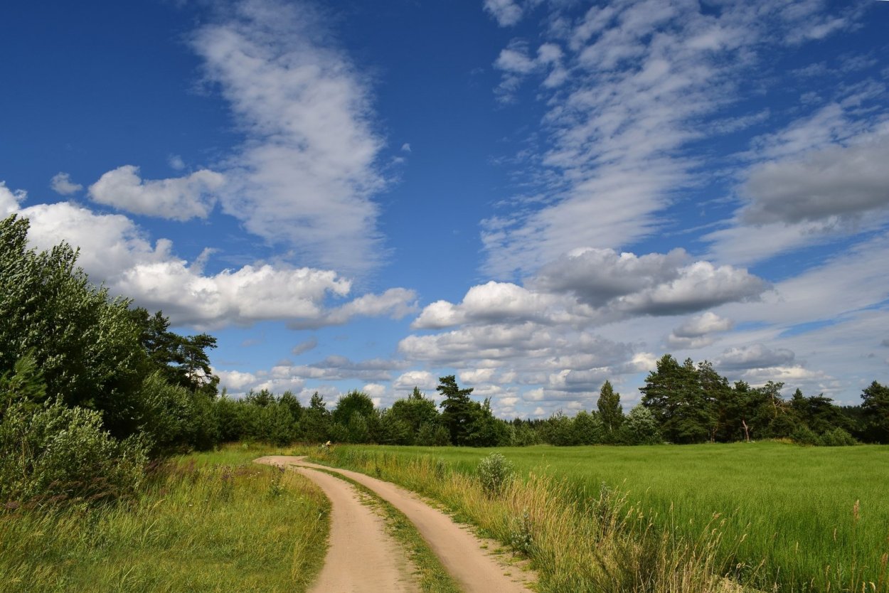 Проселочная дорога ЗИЛ