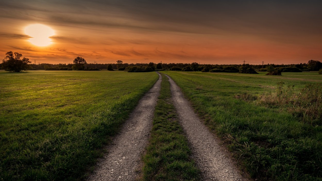 Дорога в поле