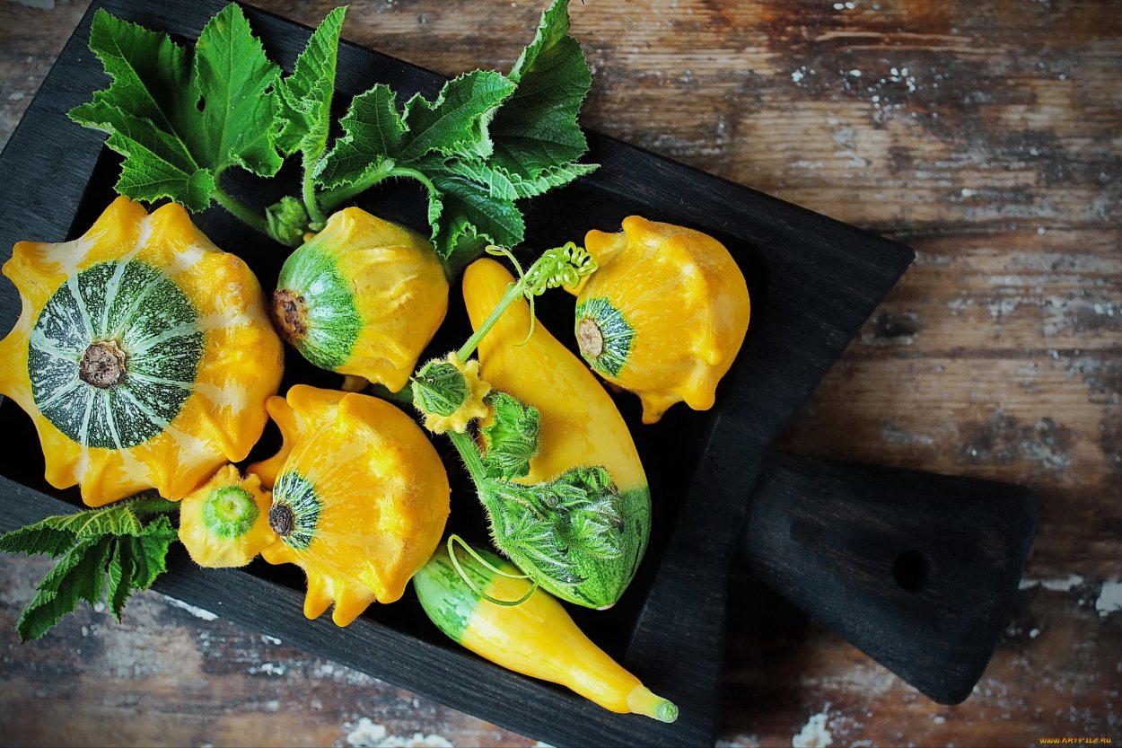 Цукини сорта и гибриды