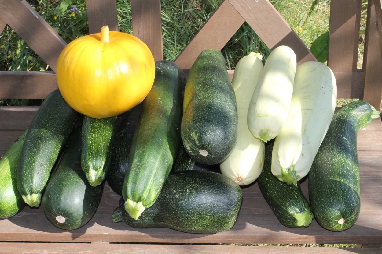 Садовая фигура "тыква"