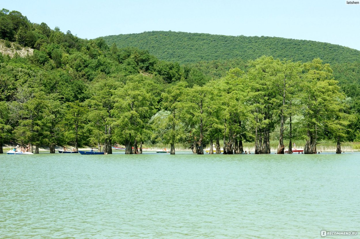 Сукко озеро с кипарисами