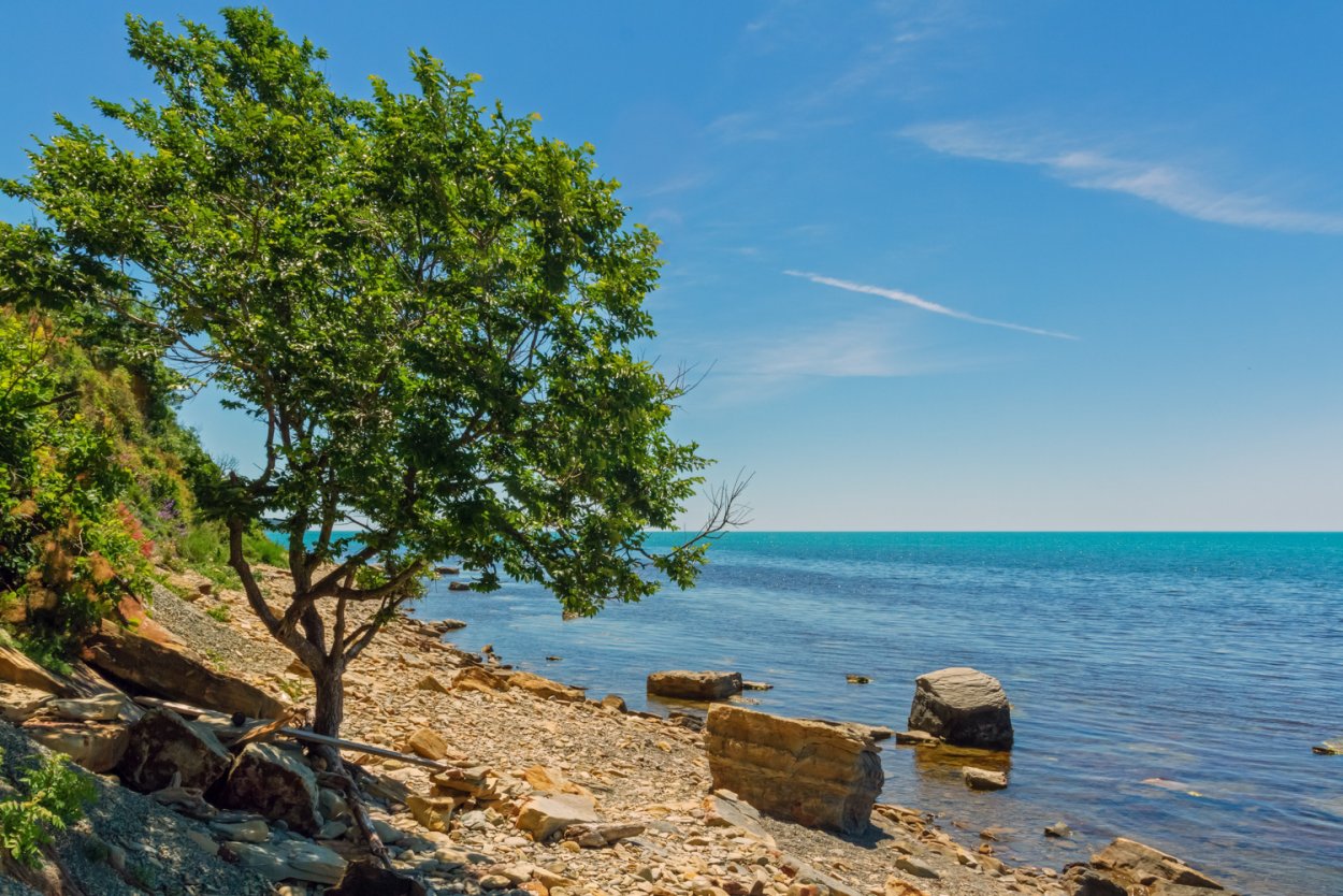 Скалистые берега черного моря