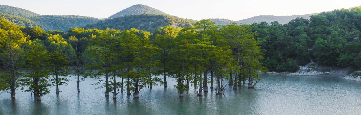 Кипарисовое озеро Абрау Дюрсо