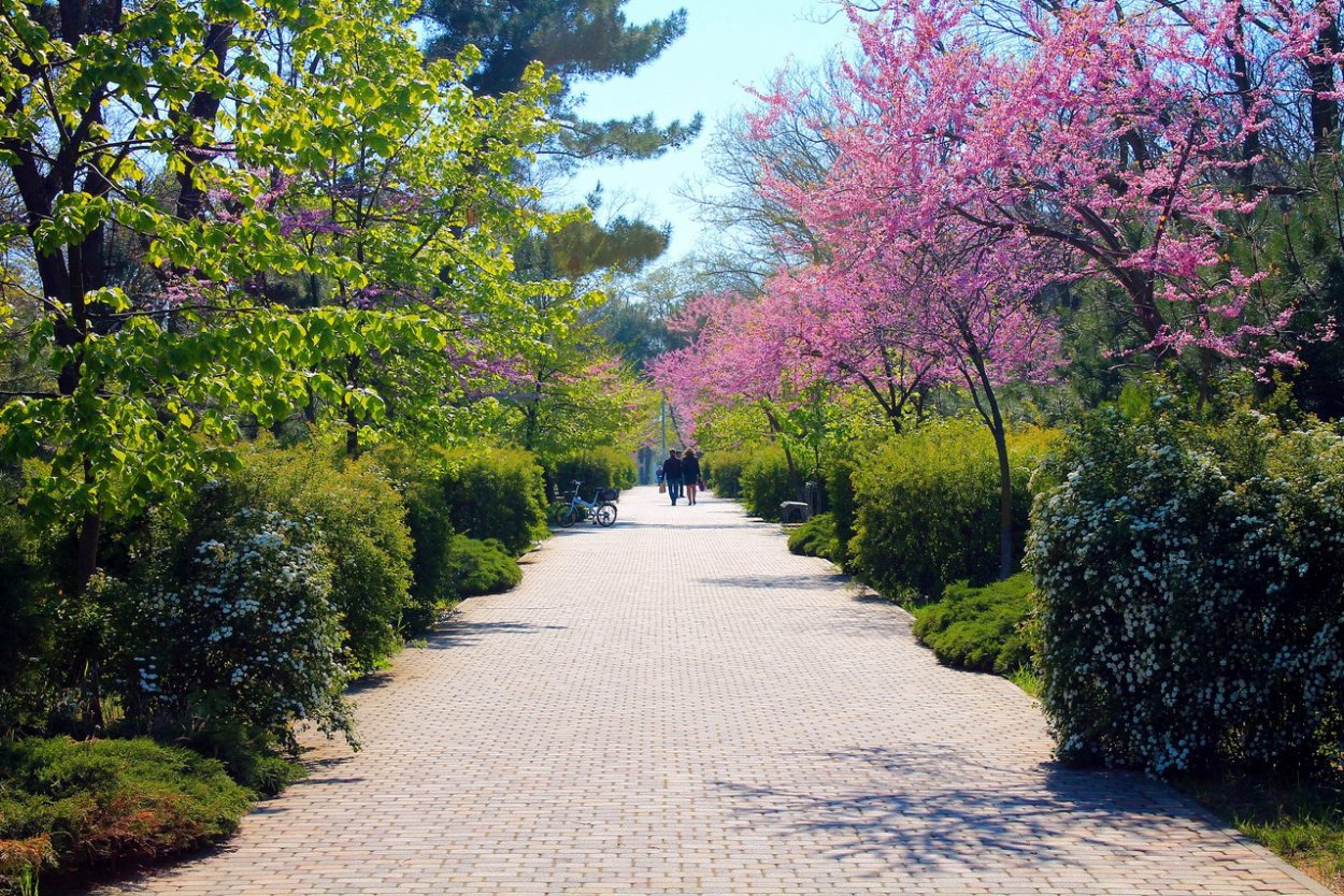 Парк Анапа весной