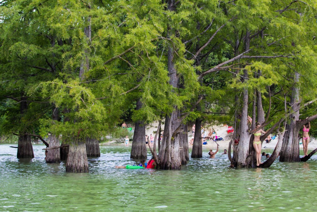 Кипарисовое озеро в Анапе