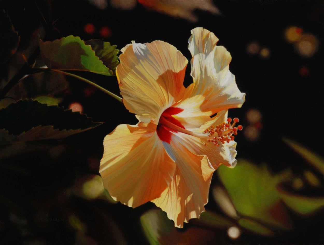 Лето Гавайские цветы