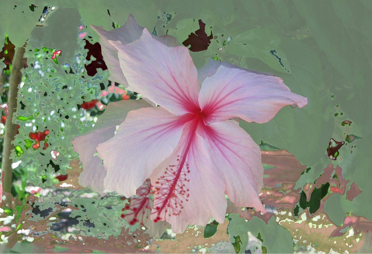 Гибискус акварель