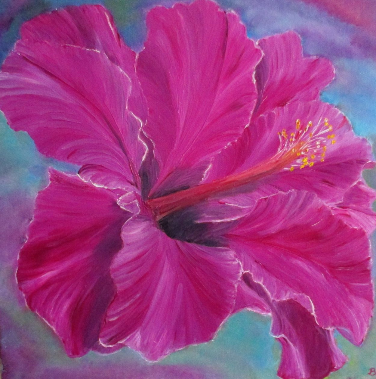 Гибискус Grace under Fire