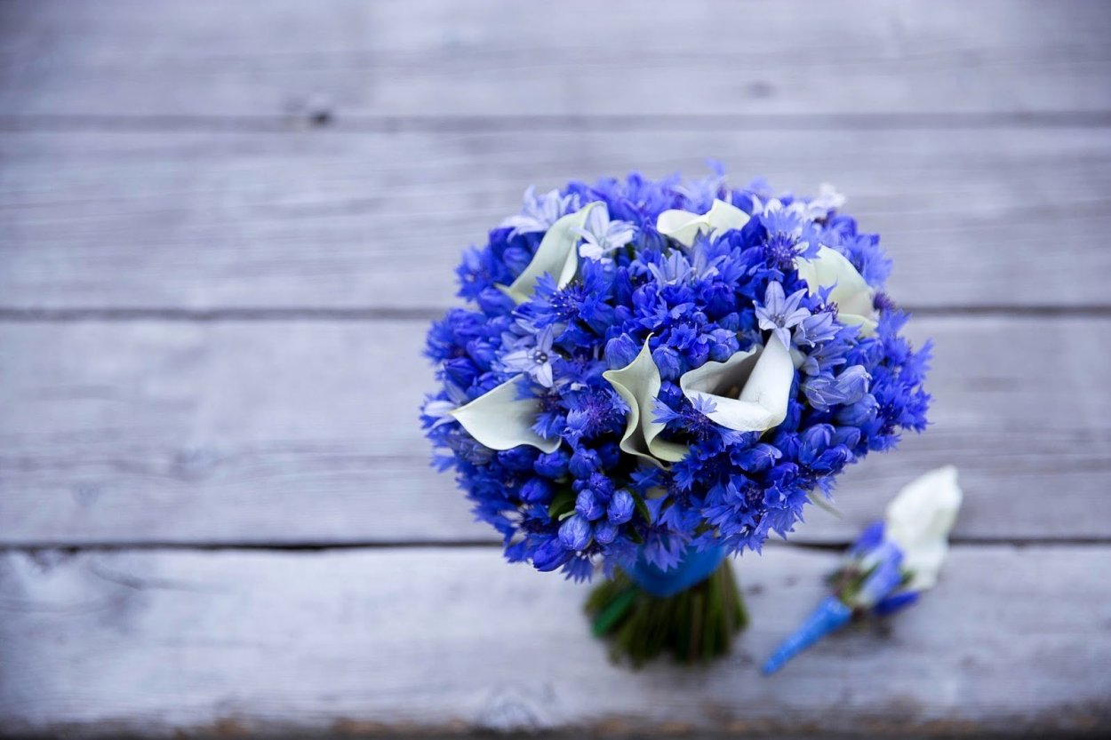 Синие цветы в вазе