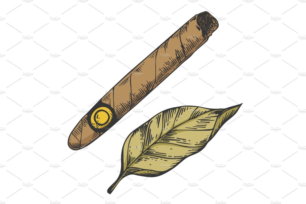 Табачный лист красиво