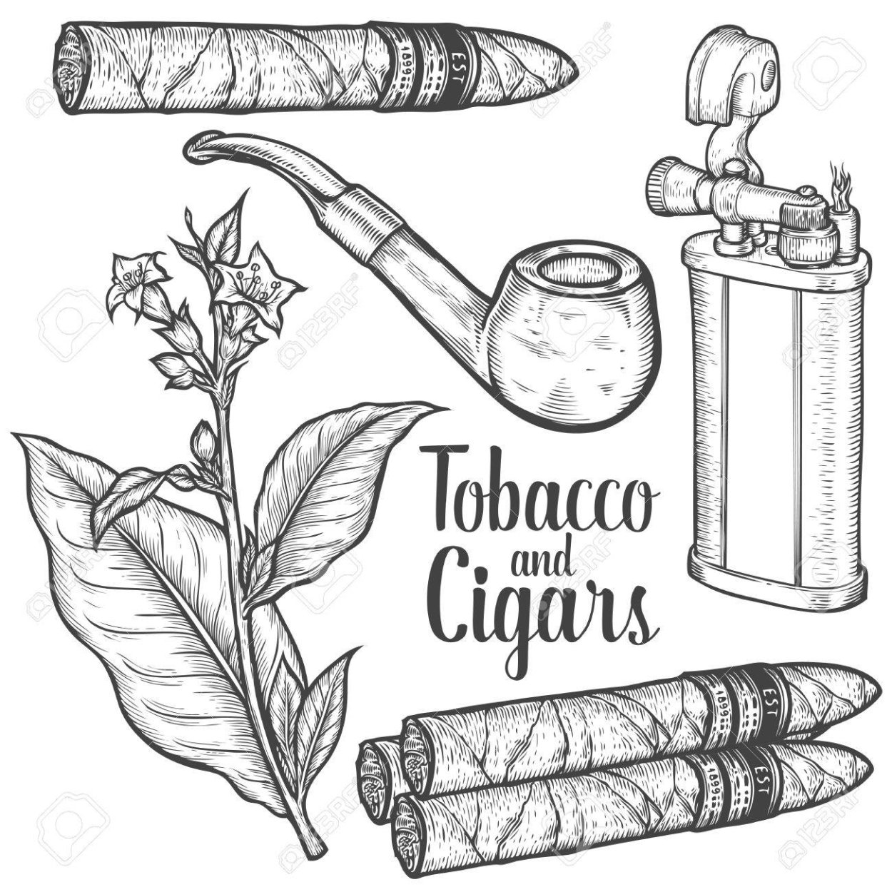 Листы табака Берли