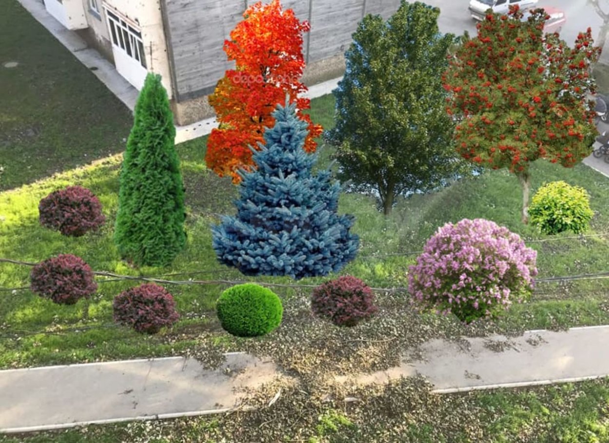 Миксбордер из хвойных и многолетников схемы