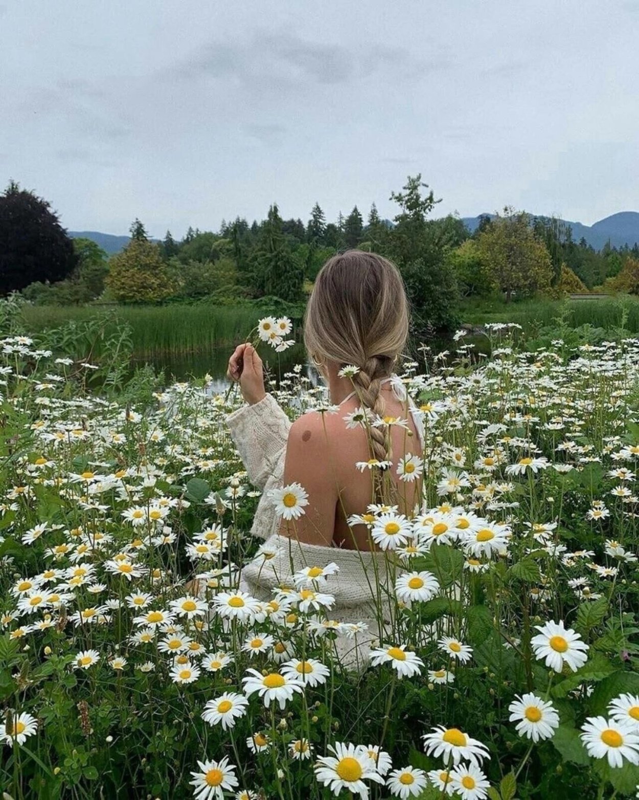 Ромашки Эстетика