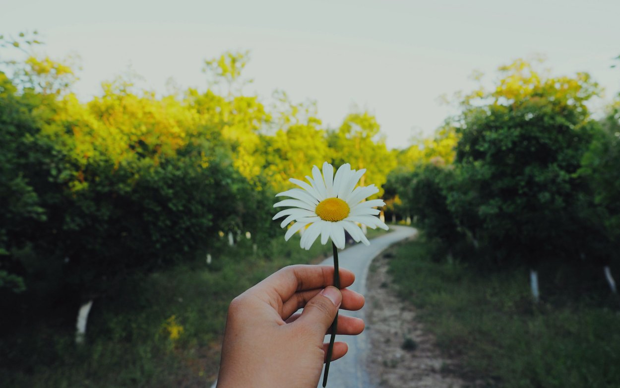 Эстетика Ангелины