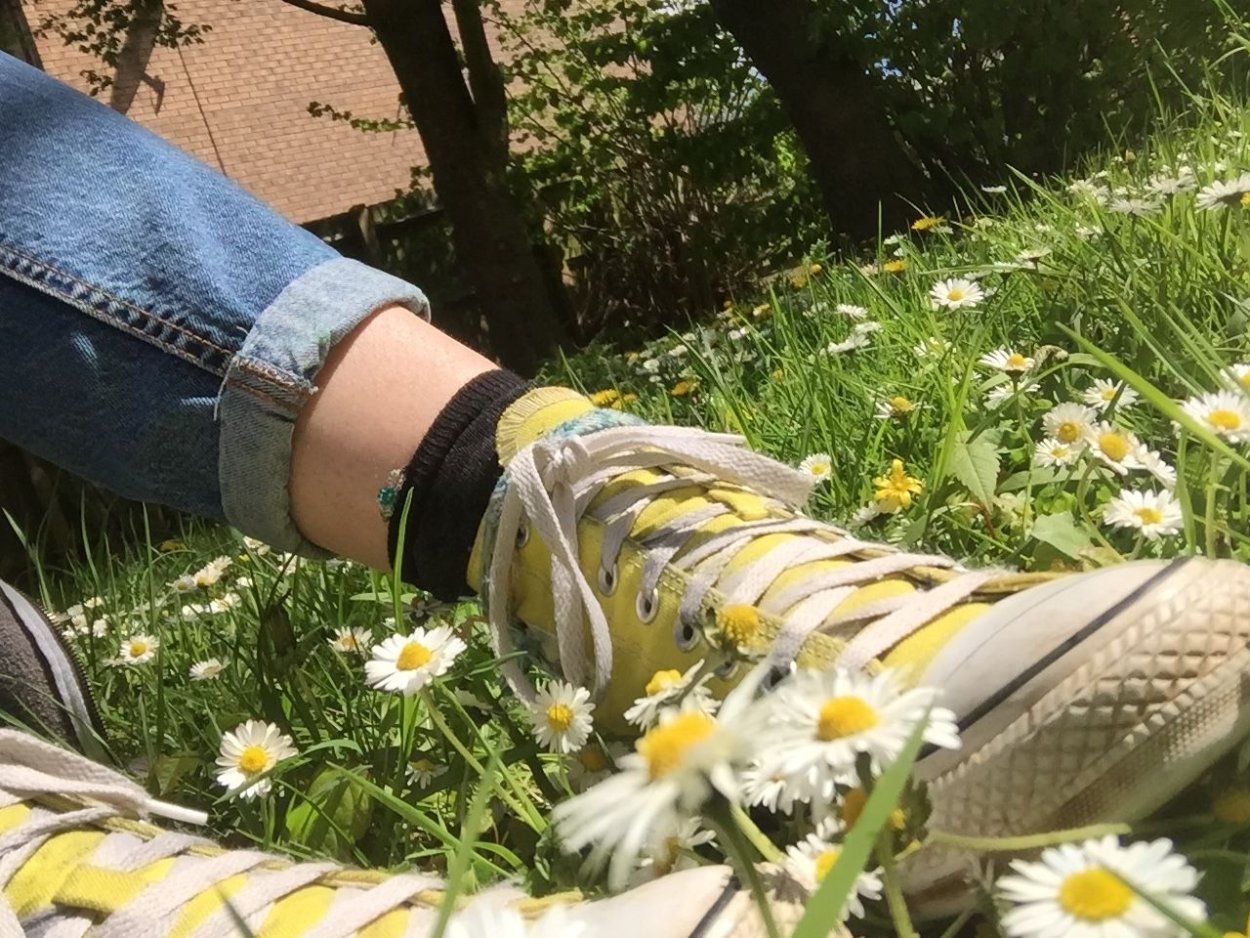 Красивые пейзажи с ромашками