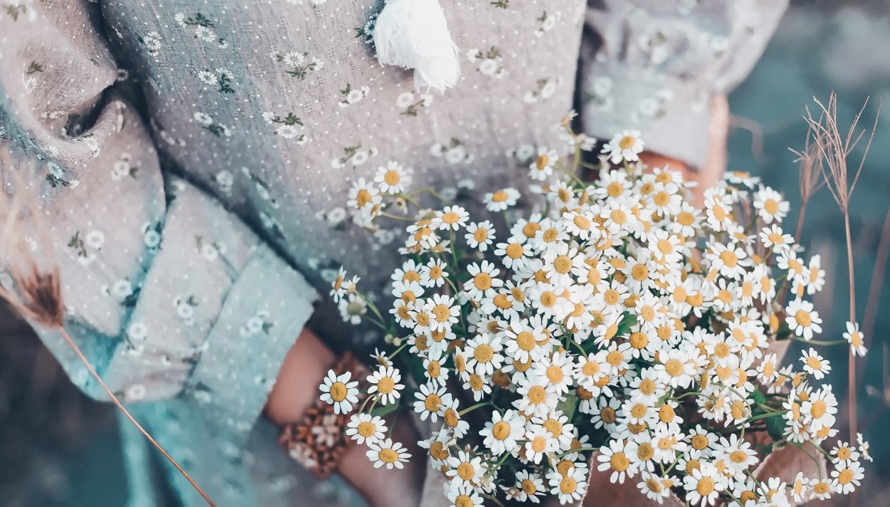 Ромашки Эстетика