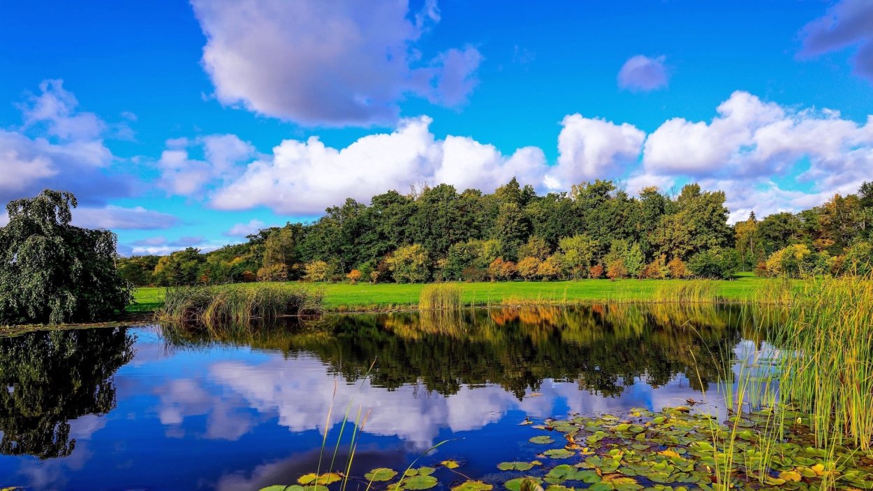 Природа речка