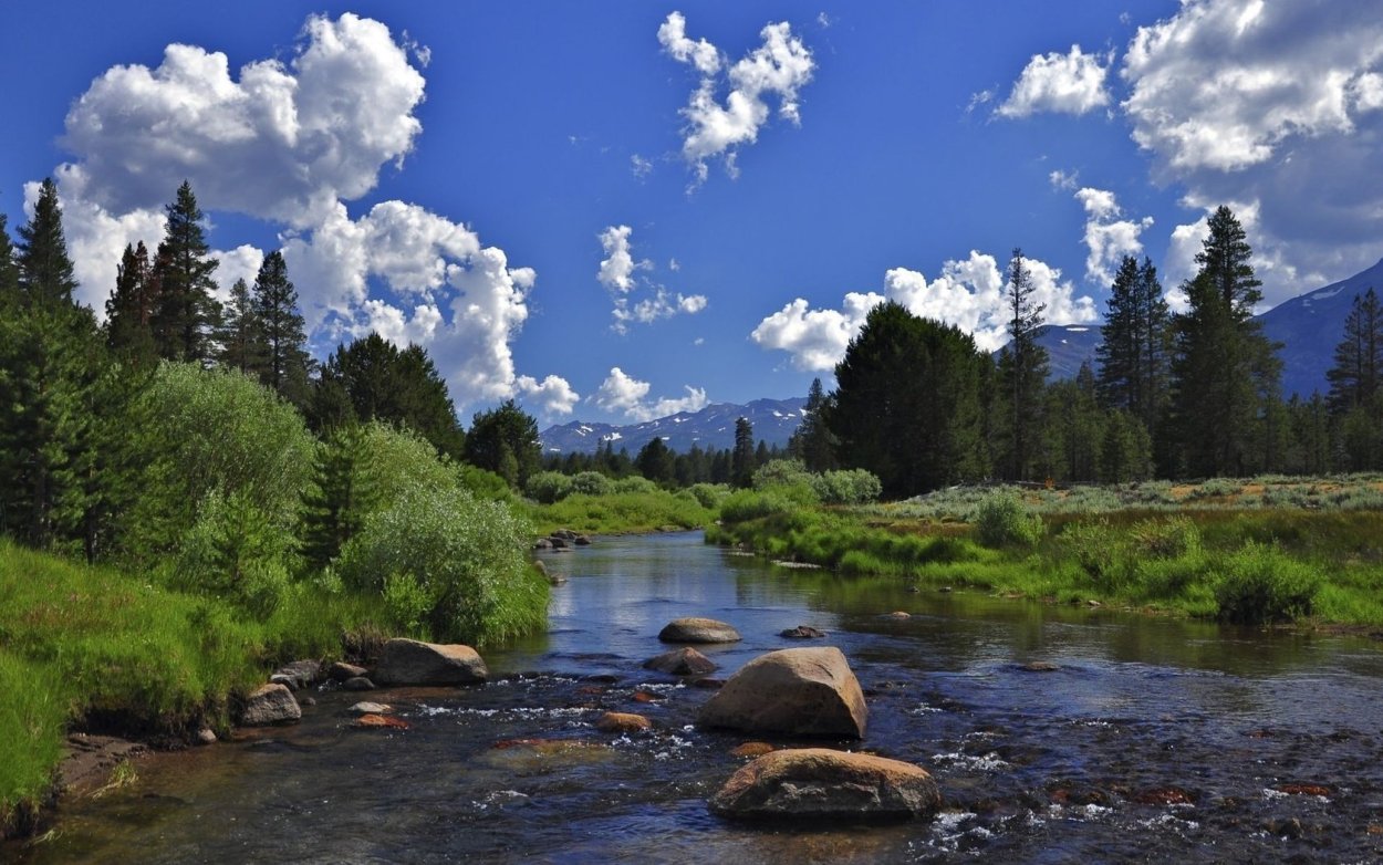 Лето горы река Тайга Сибирь