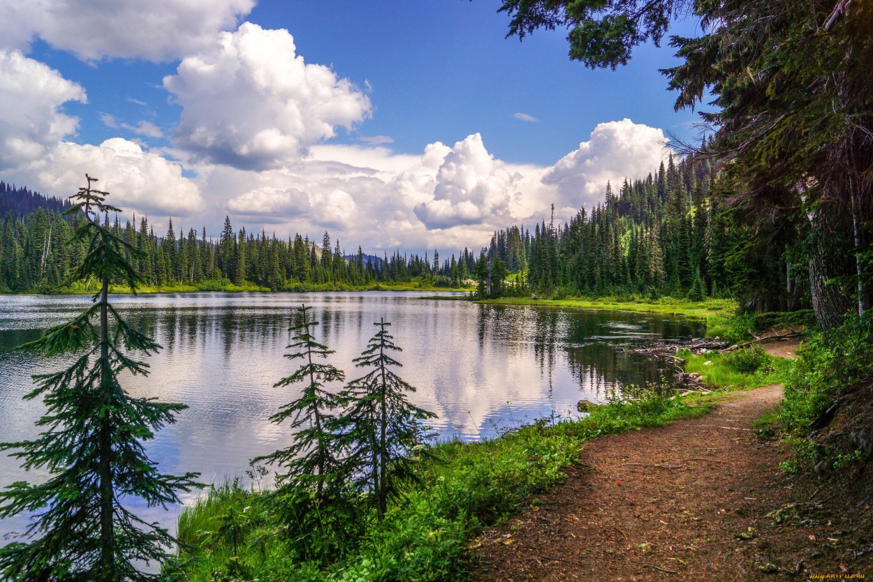 Озеро в сибирской тайге