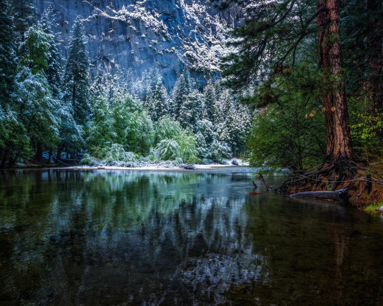 Лесное озеро