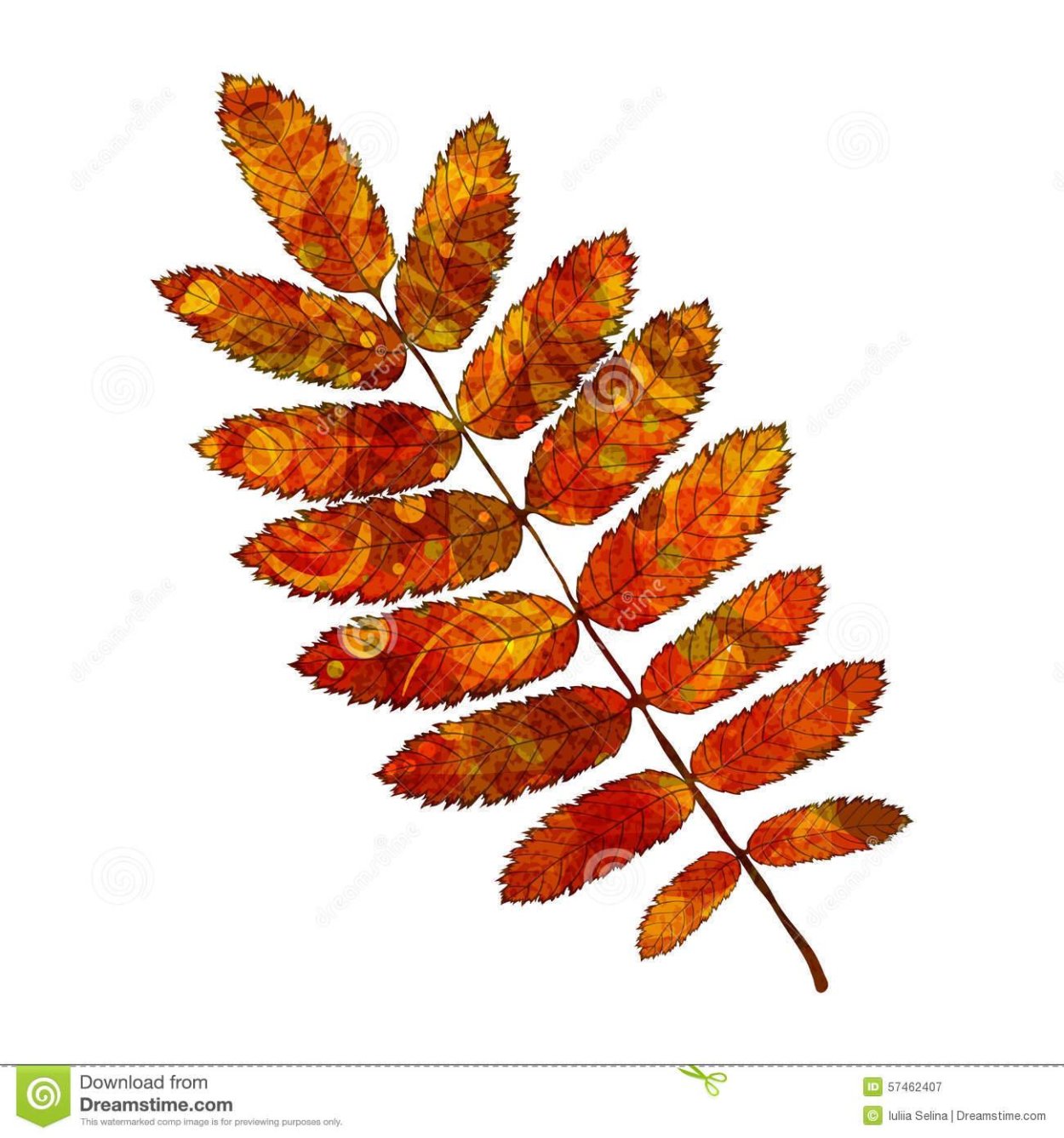 Листья рябины для распечатывания