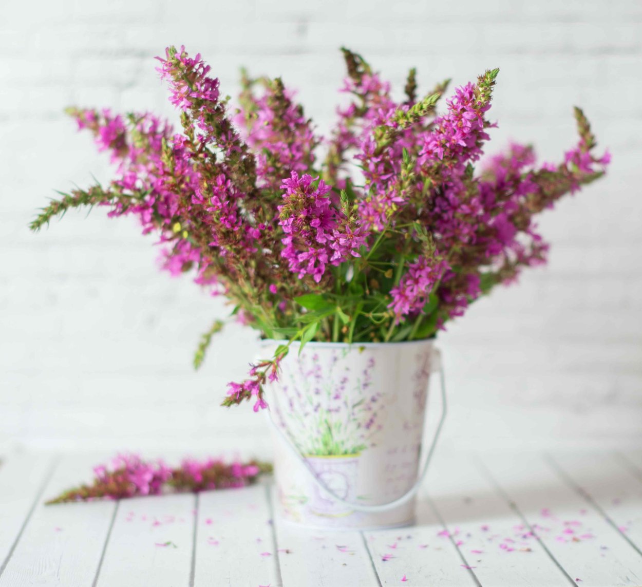 Лаванда Вереск Вербена