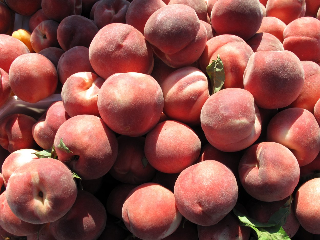 Персики Эстетика