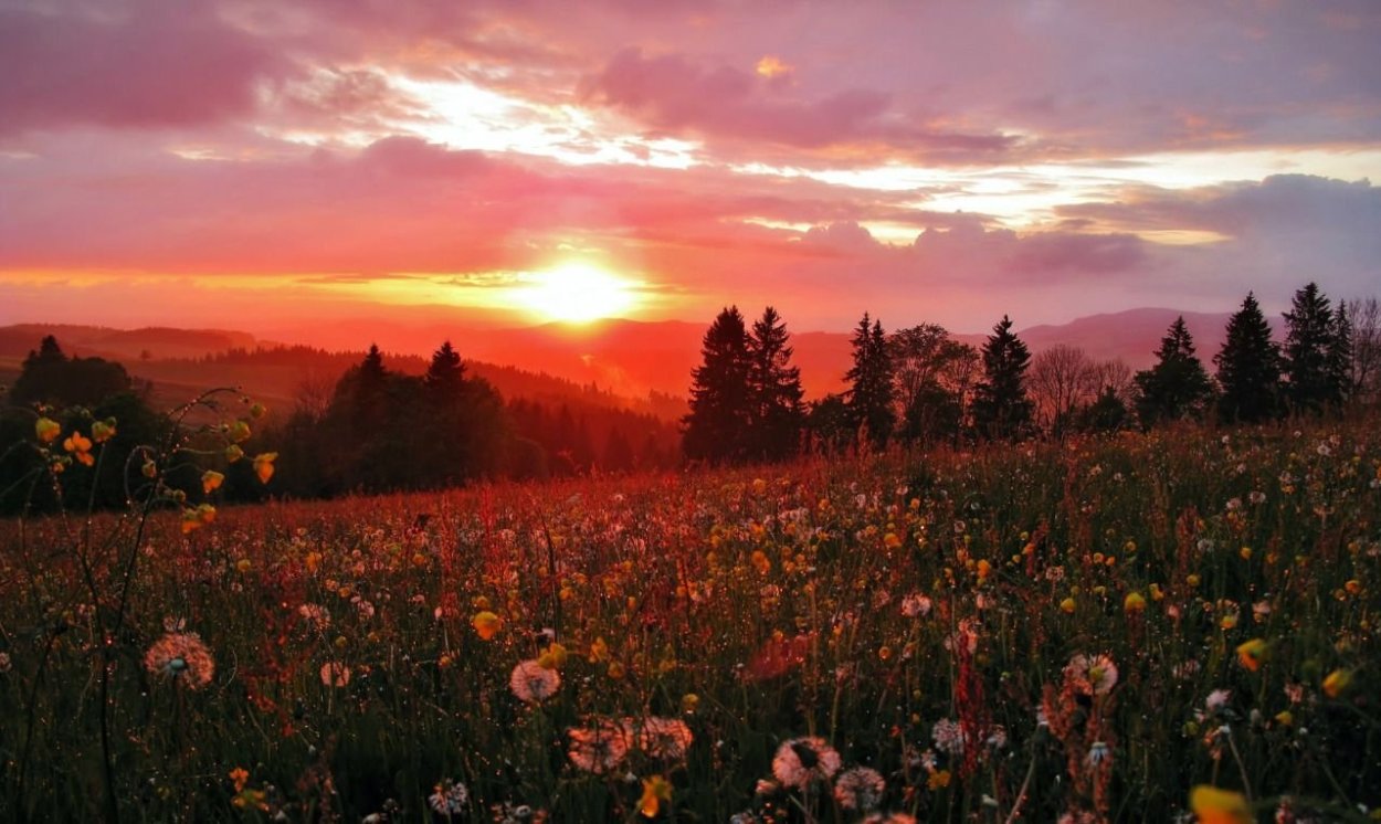 Закат Эстетика