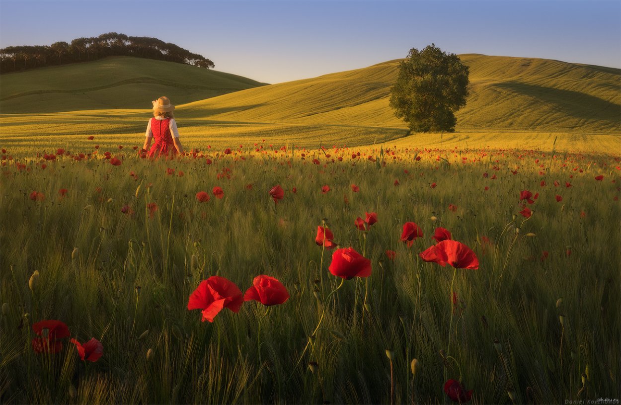 Коржонов Даниил Тоскана