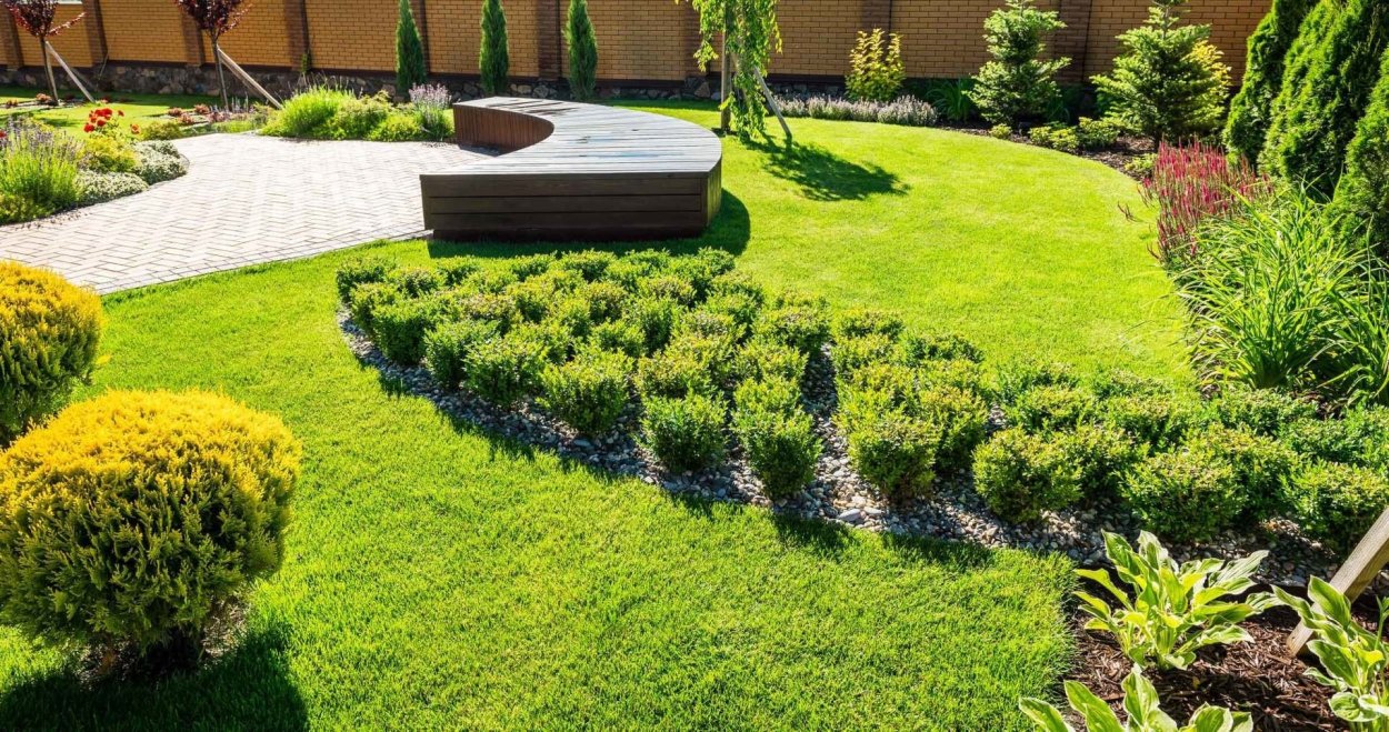 Herrenhausen самшит