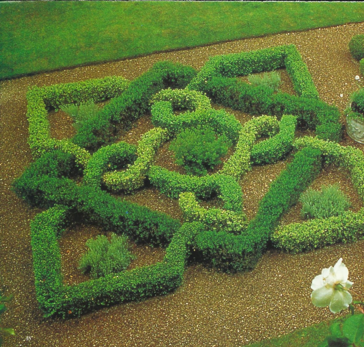 Цветник в регулярном стиле