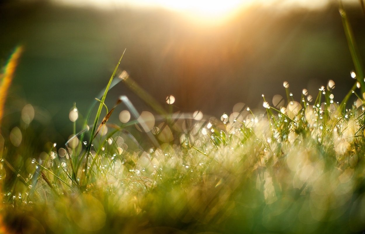 Весна солнце