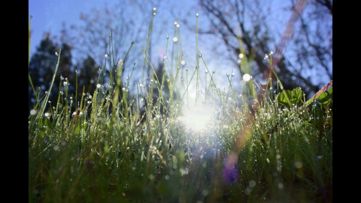 Природа после дождя