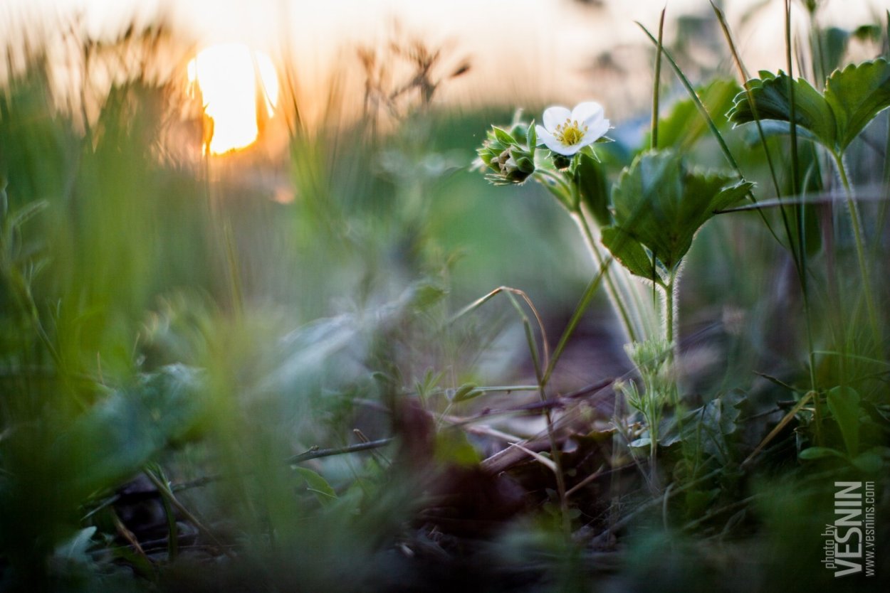 Природа после дождя