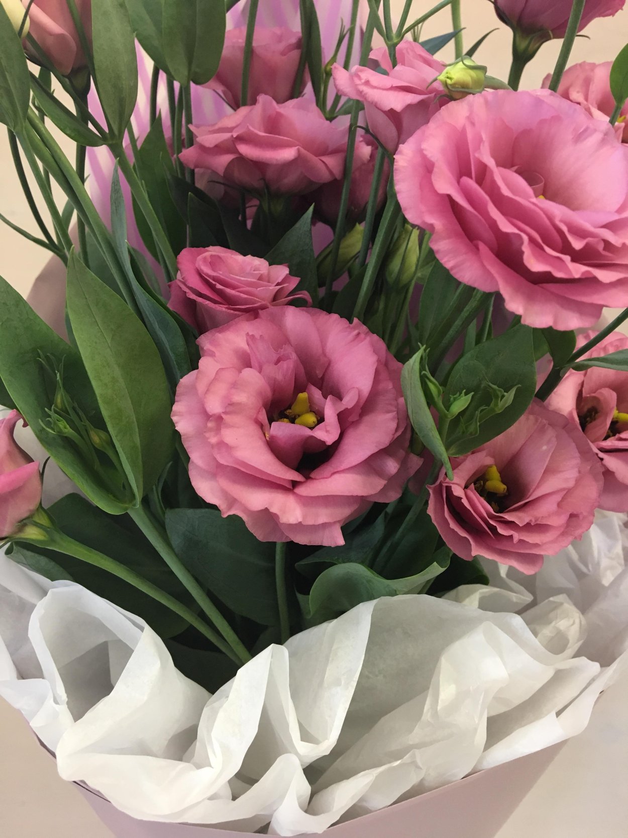 Эустома (Lisianthus)