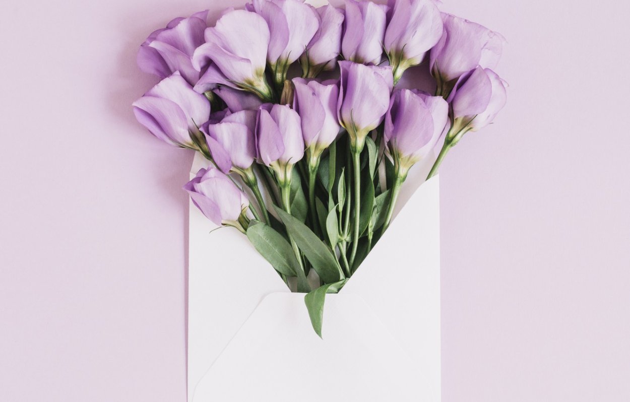 Тюльпаны в конверте