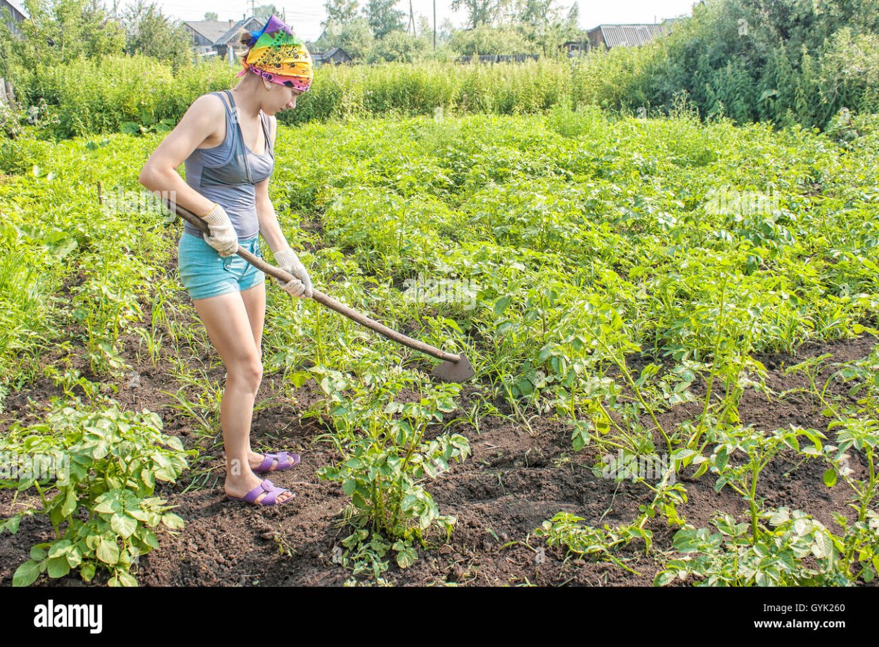 Женщина с тяпкой на огороде