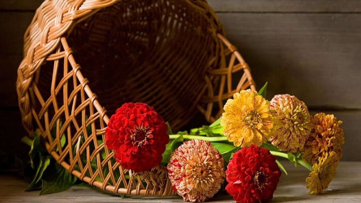 Осенние цветы в корзинке