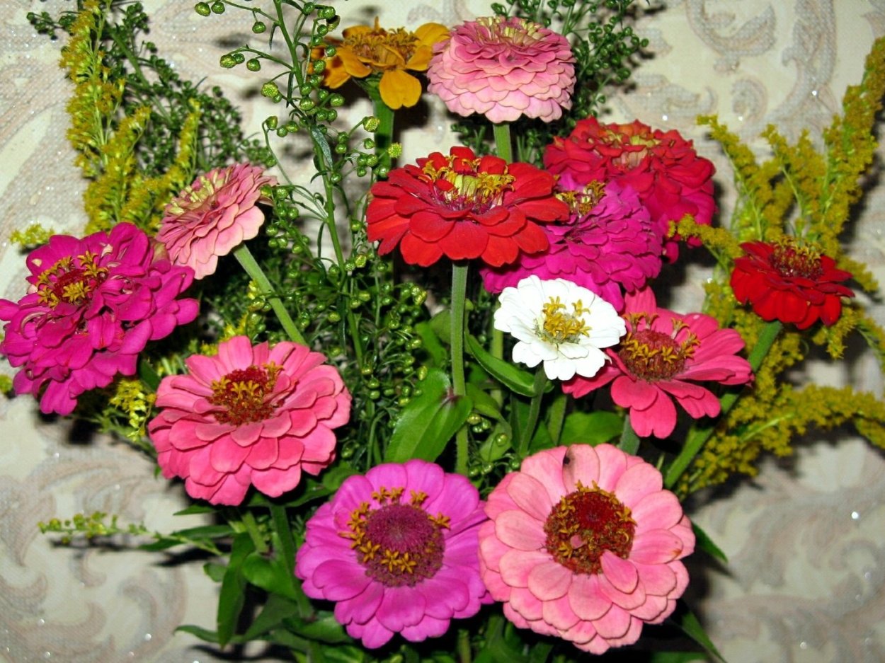 Букет астры и цинии
