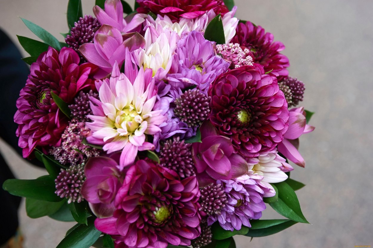 Букеты георгины и хризантемы