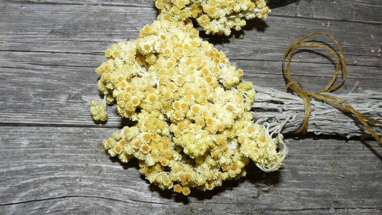 Тысячелистник пижма Полынь