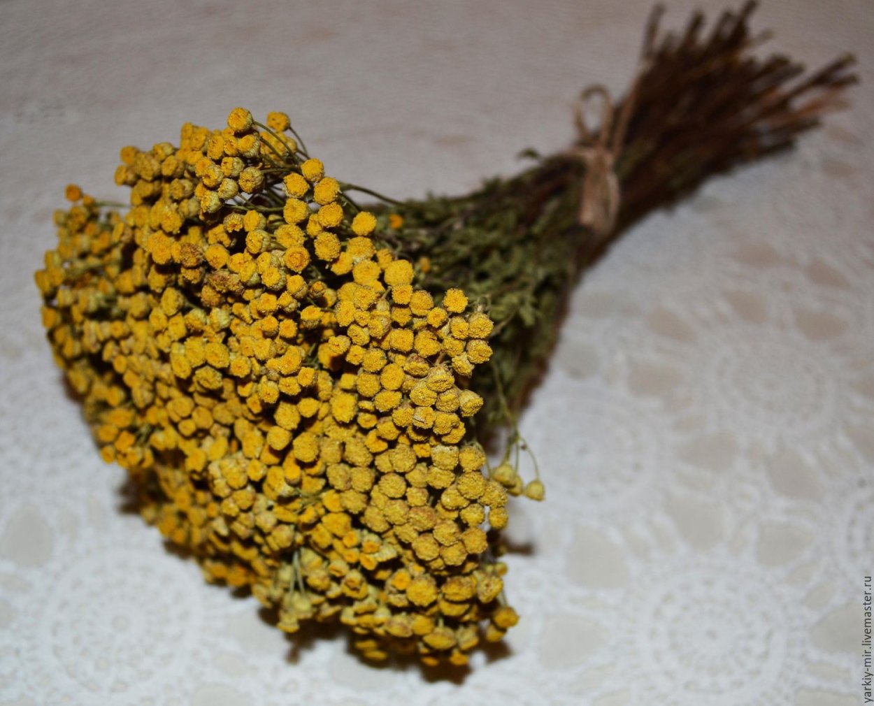 Тысячелистник трава сушеная