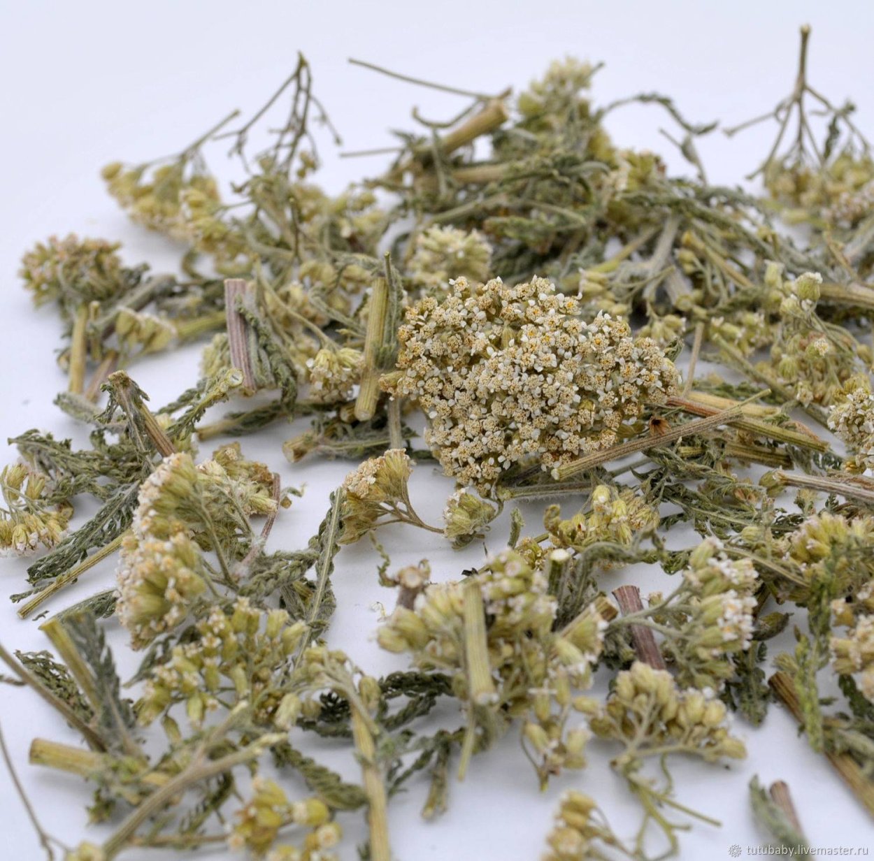 Тысячелистник трава сухая