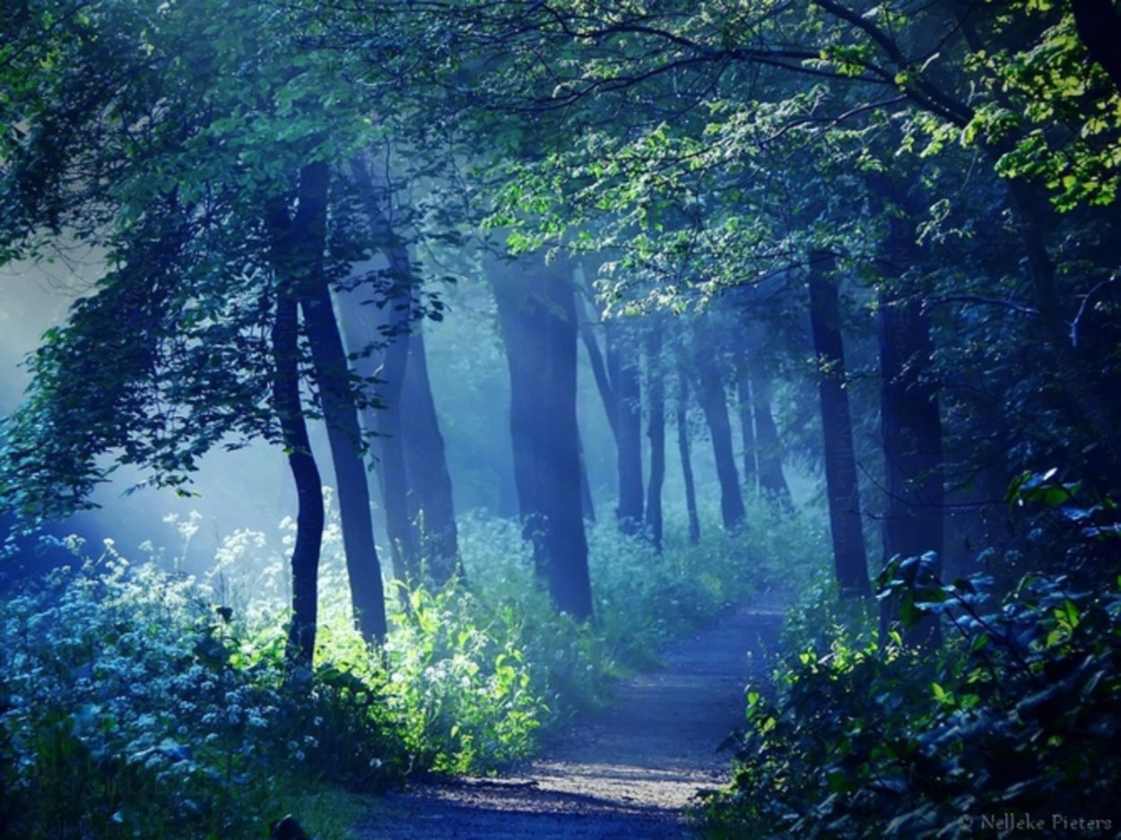 Синяя природа