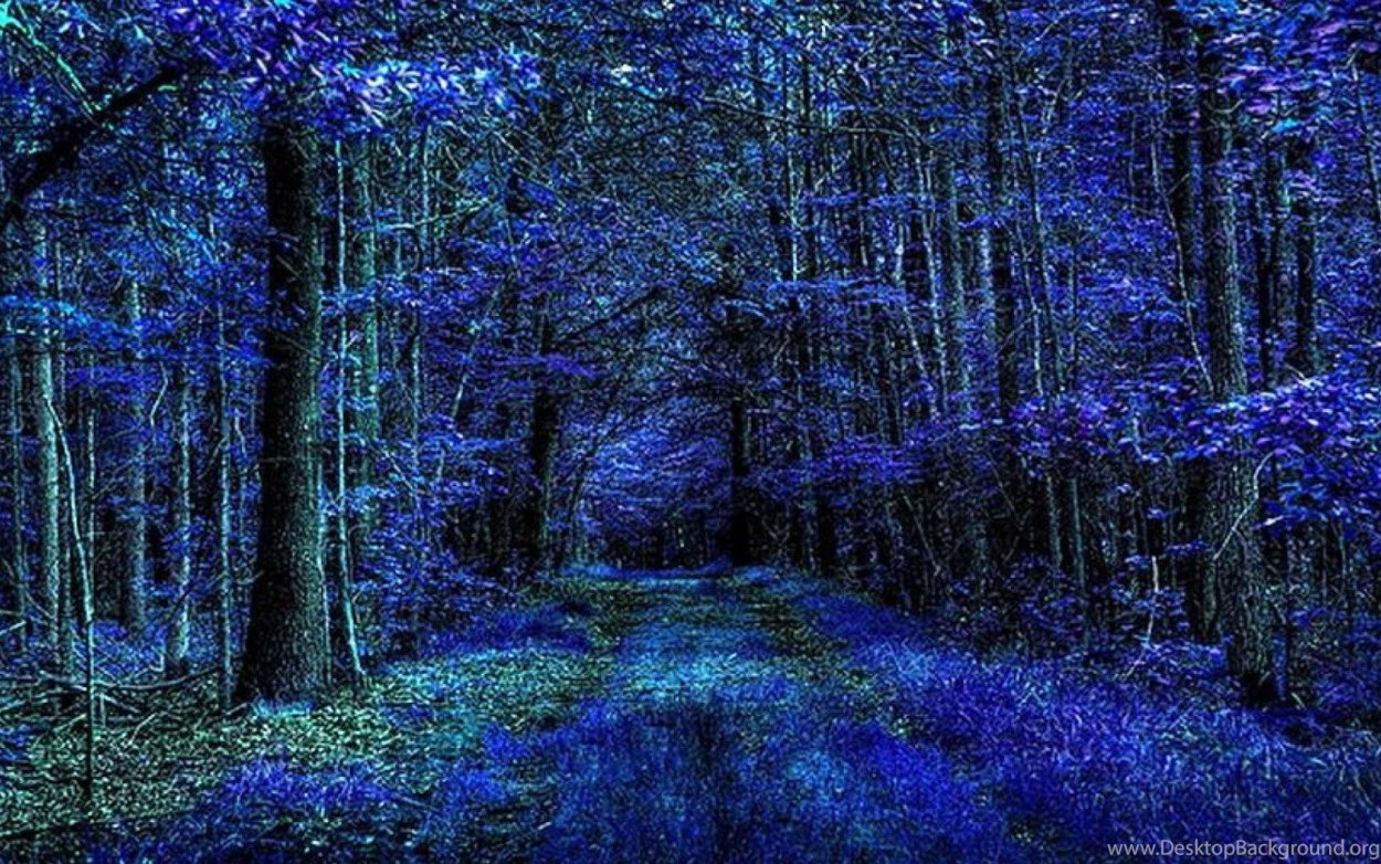 Темный синий лес