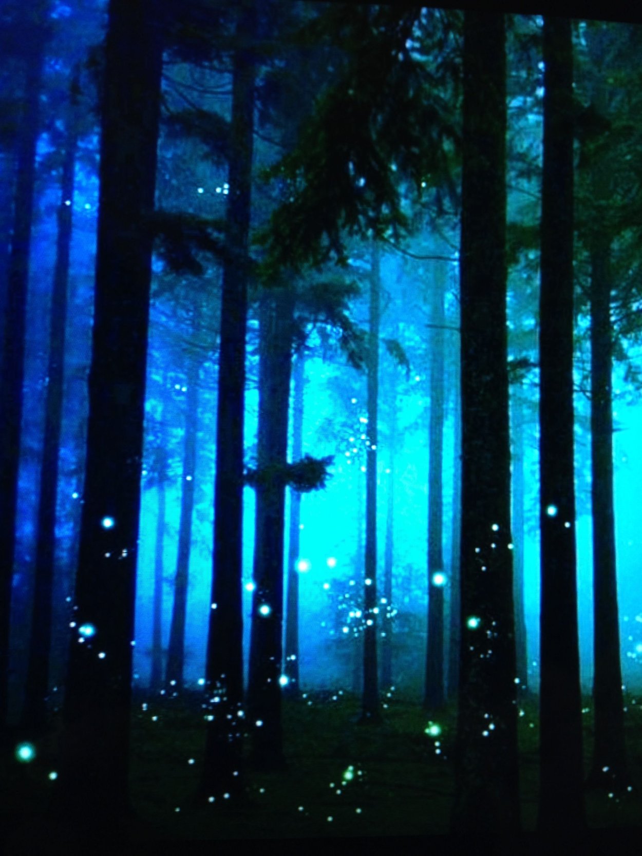 Лесные цветы