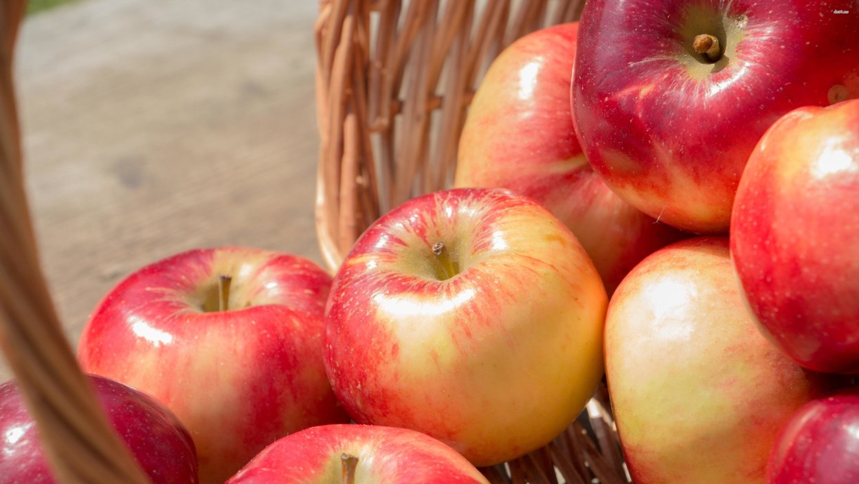Яблоки панорама