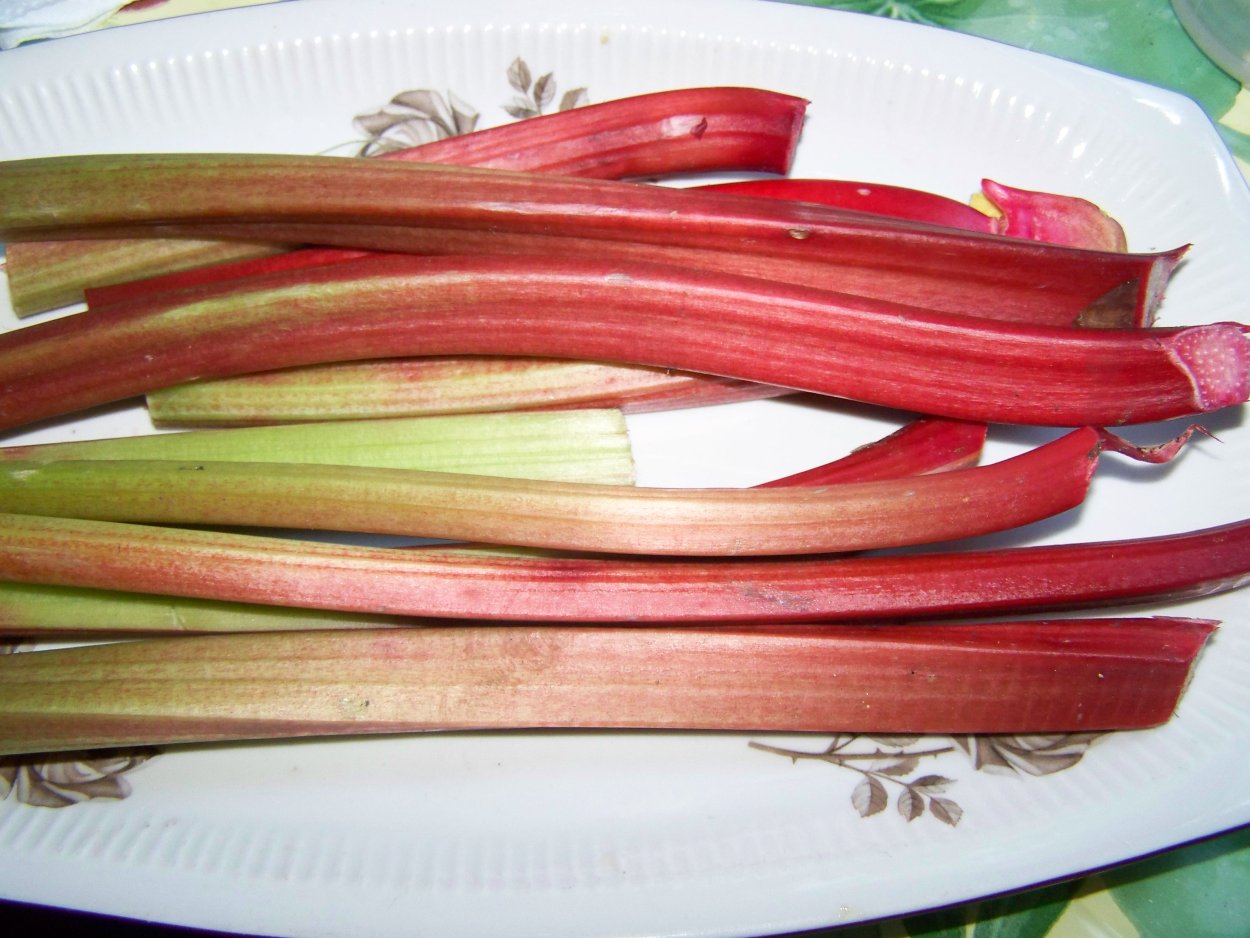 Щавель обыкновенный Rumex acetosa