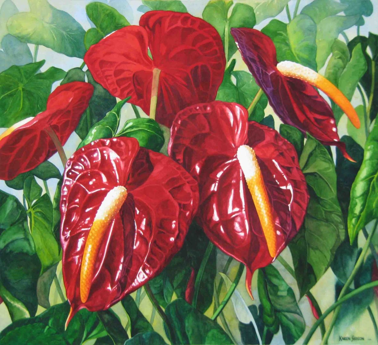 Антуриум Тропикал